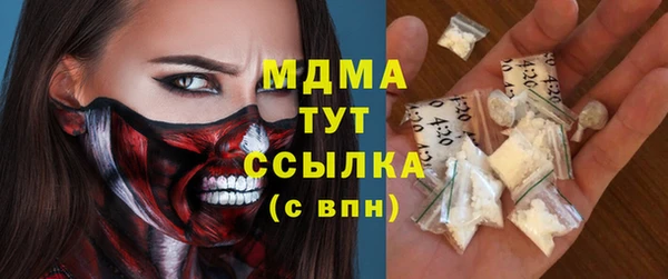 шишки Бородино