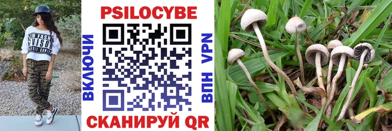 Галлюциногенные грибы прущие грибы  Купить закладки  Теберда 